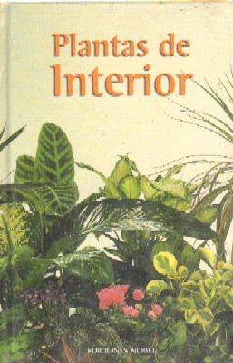 PLANTAS DE INTERIOR