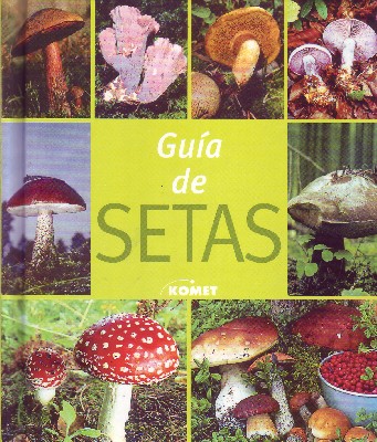 GUIA DE SETAS