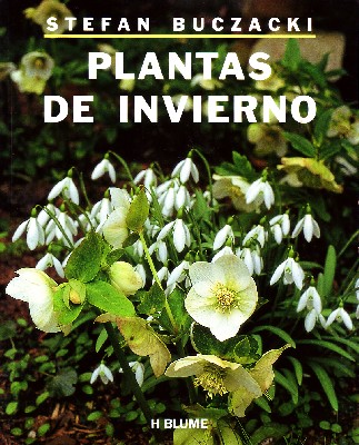 PLANTAS DE INVIERNO.