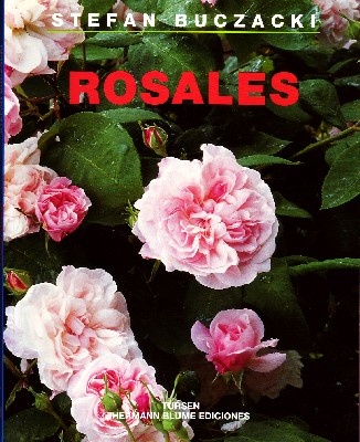 ROSALES.