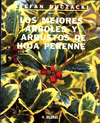 LOS MEJORES ARBOLES Y ARBUSTOS DE HOJA PERENNE.