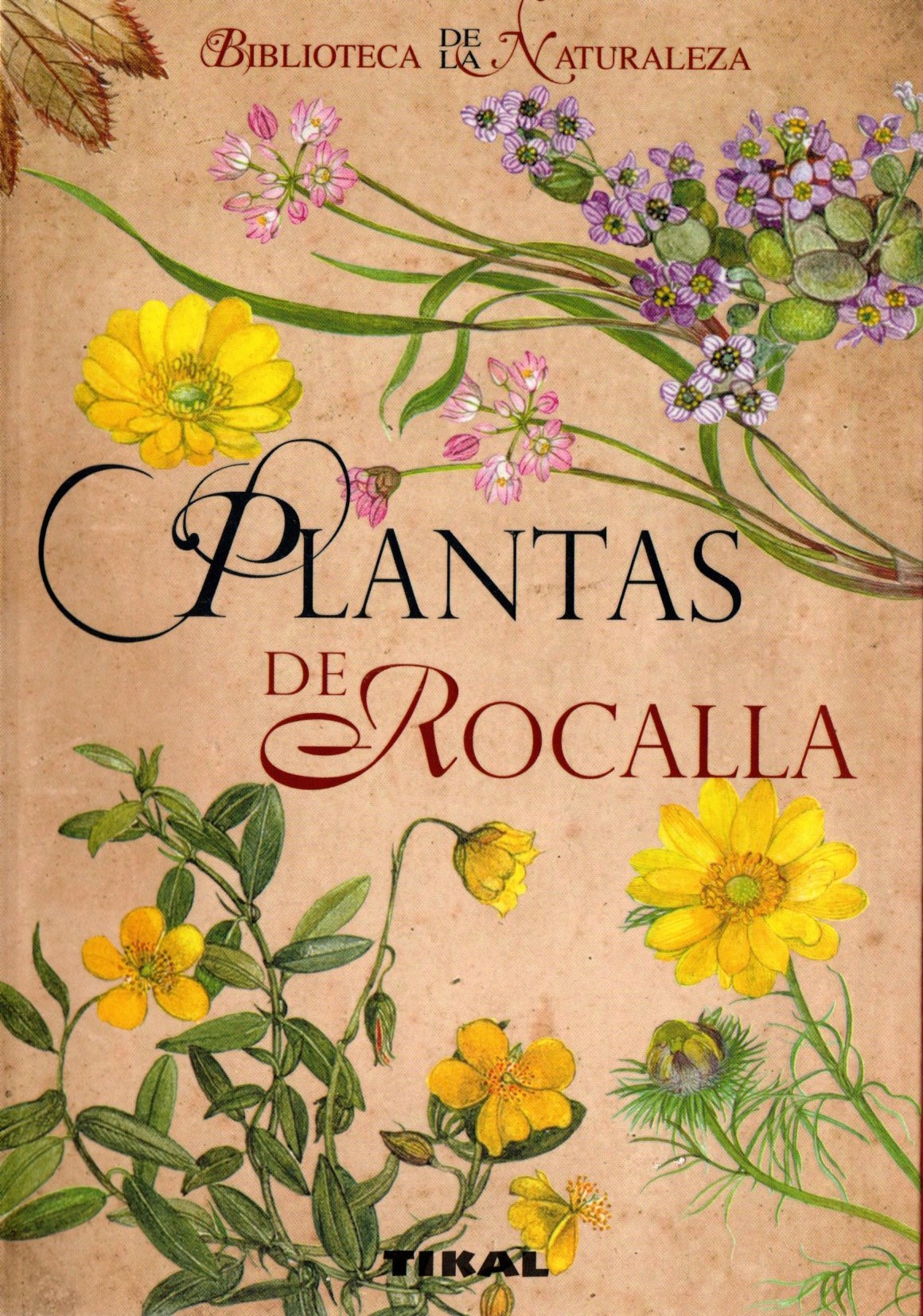 PLANTAS DE ROCALLA.
