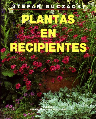 PLANTAS EN RECIPIENTES.