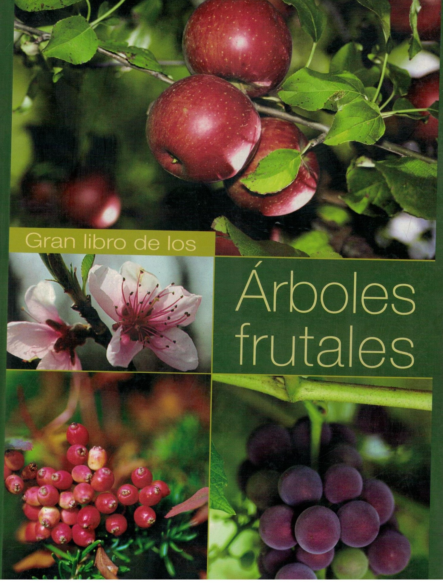 GRAN LIBRO DE LOS ARBOLES FRUTALES