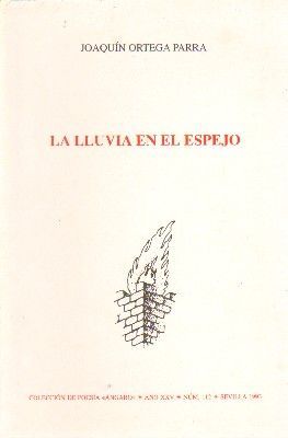 LA LLUVIA EN EL ESPEJO
