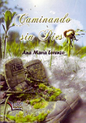 CAMINANDO SIN PIES