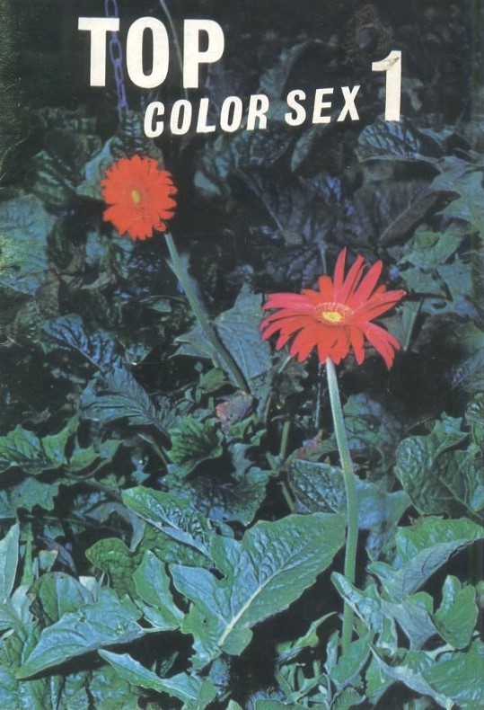 REVISTA DE COLECCIONISMO PARA ADULTOS DE LOS AÑOS 60-70, TOP COLOR SEX 1.