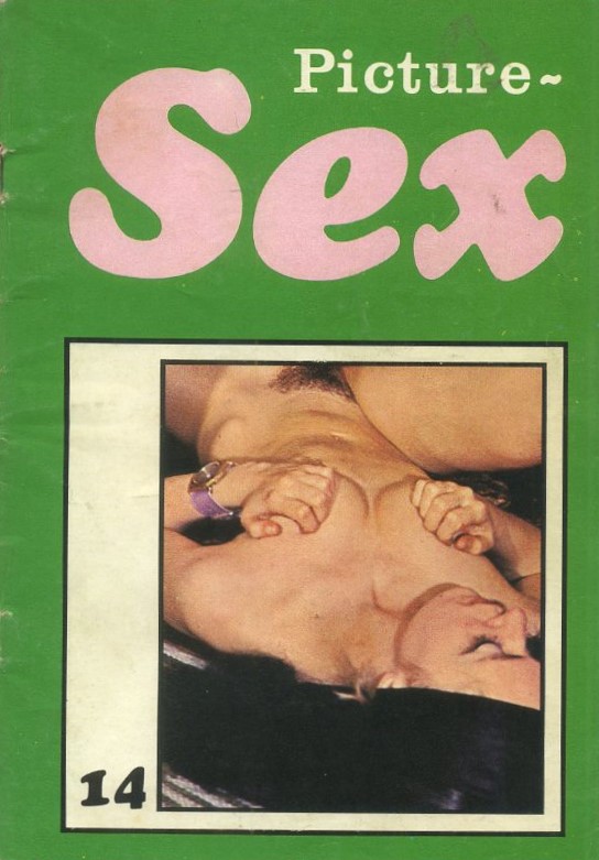 REVISTA DE COLECCIONISMO PARA ADULTOS DE LOS AÑOS 60-70, PICTURE SEX Nº14.