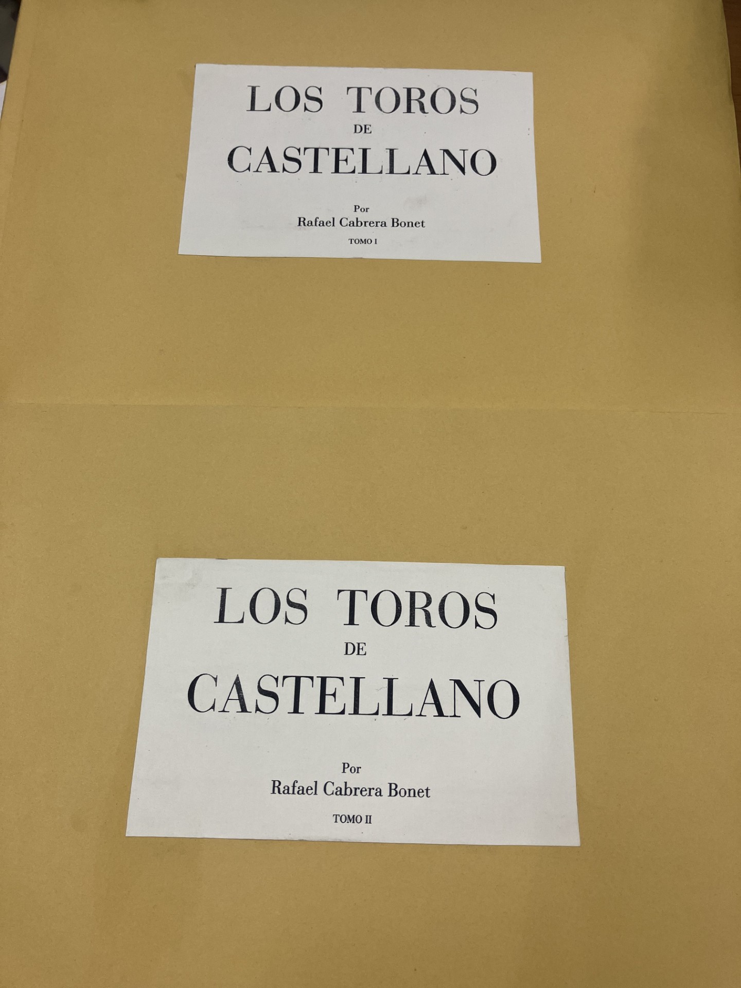LOS TOROS DE CASTELLANO 2 TOMOS